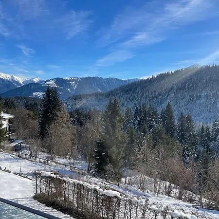 Pineview Waldhaus