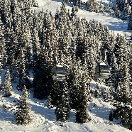 Pineview Waldhaus Apartment Flims